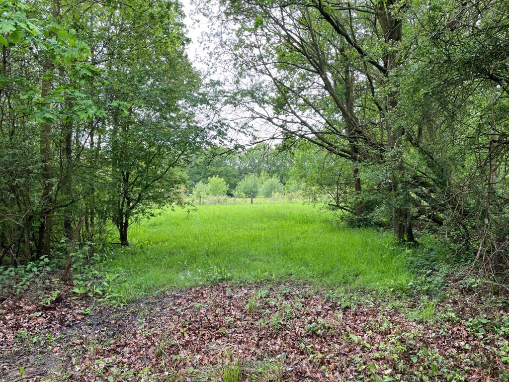 Lot: 71 - FREEHOLD PARCEL OF LAND - View of the freehold land from just inside the gates